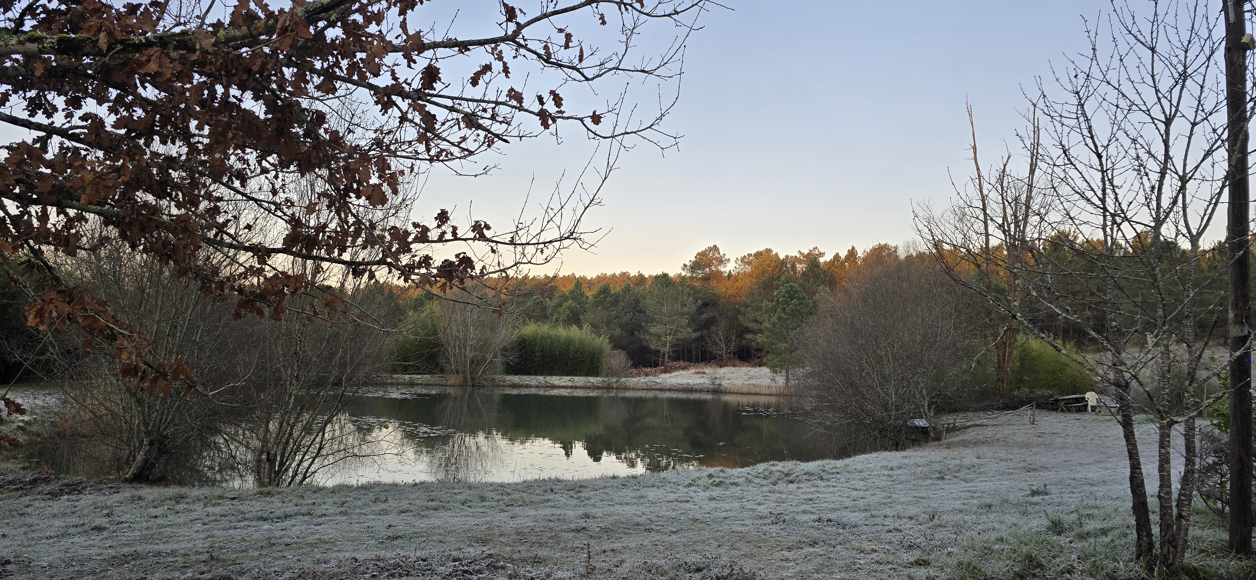 Matin de gelée