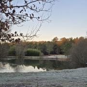 Matin de gelée