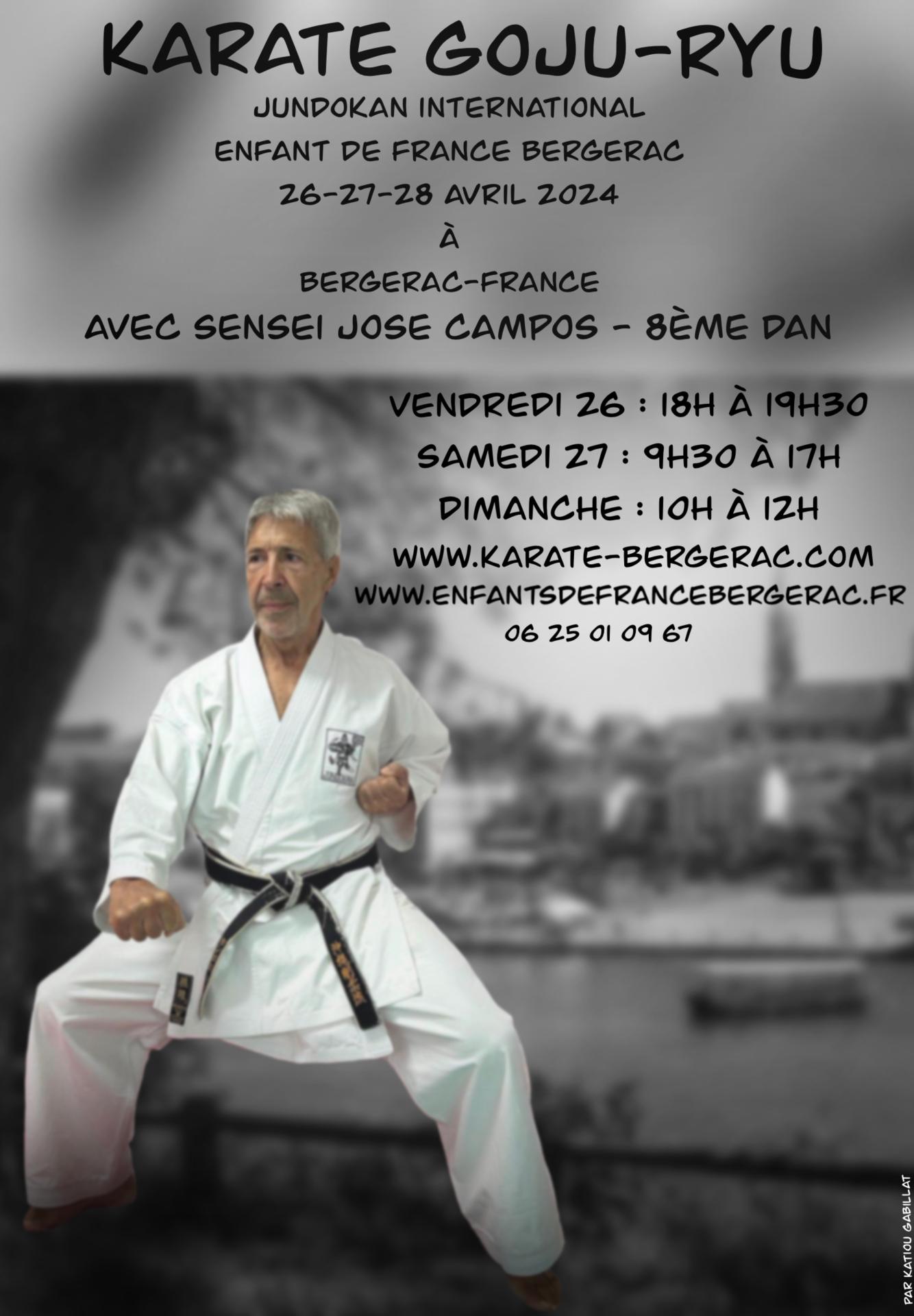 Affiche karate