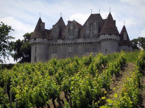 Vignoble bergerac